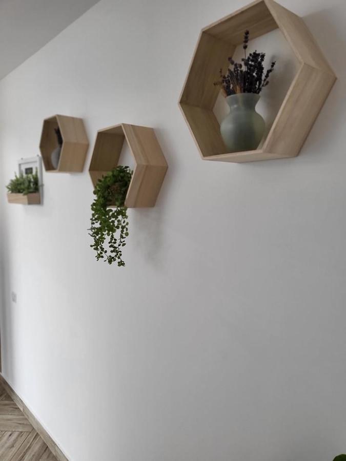 Casa 115 Toplița Exterior foto