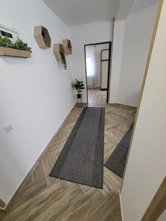 Casa 115 Toplița Exterior foto